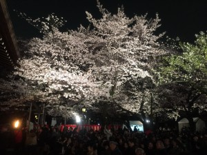 人生初の能楽鑑賞