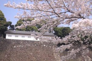 2020年4月の千代田区小中学校について