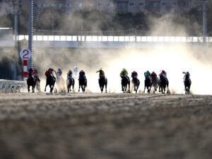大井競馬場の主催者、ご存知ですか？